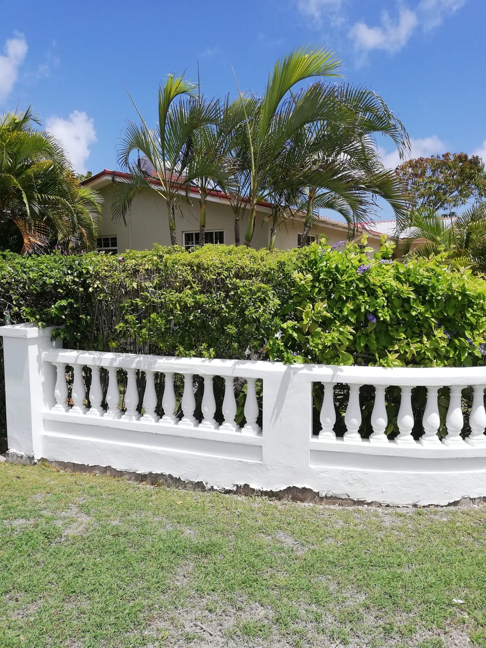 The villa