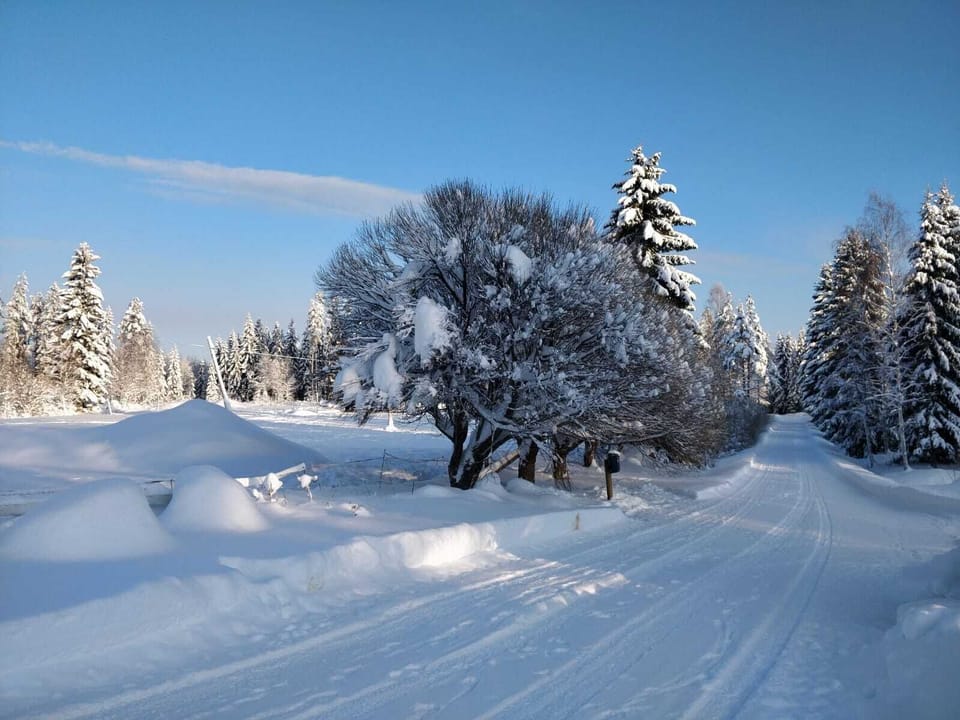 Snow and ski sports