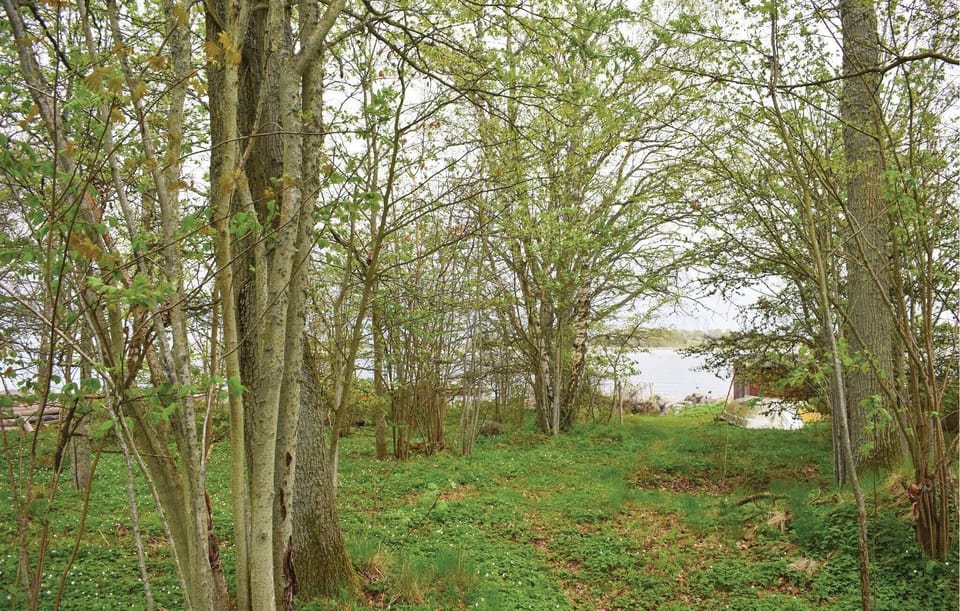 area