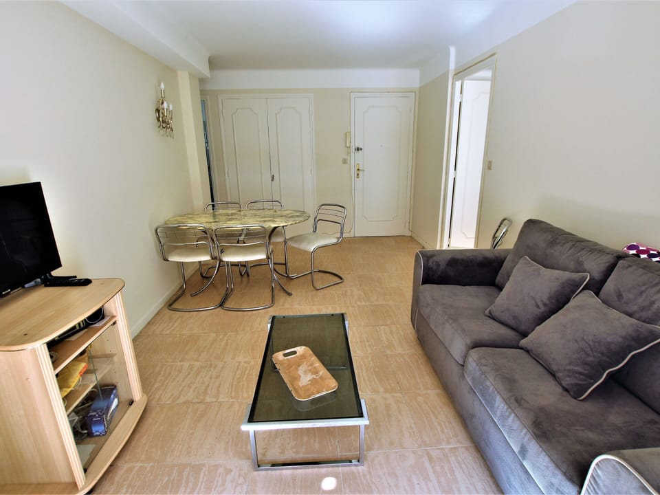 Equipped living room, TV, WIFI, sofa bed 2 sleeps, dining area