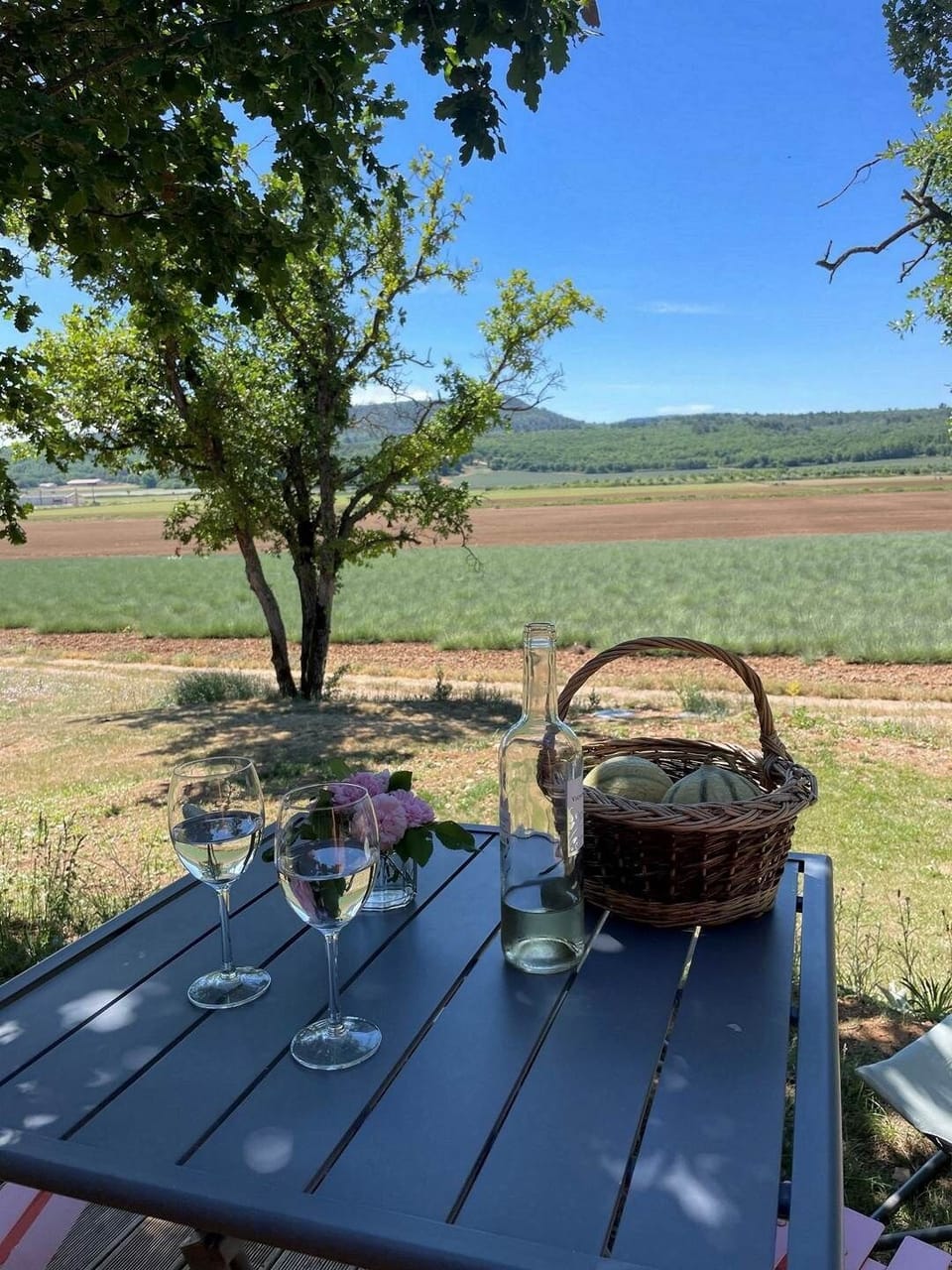 L'été en Provence