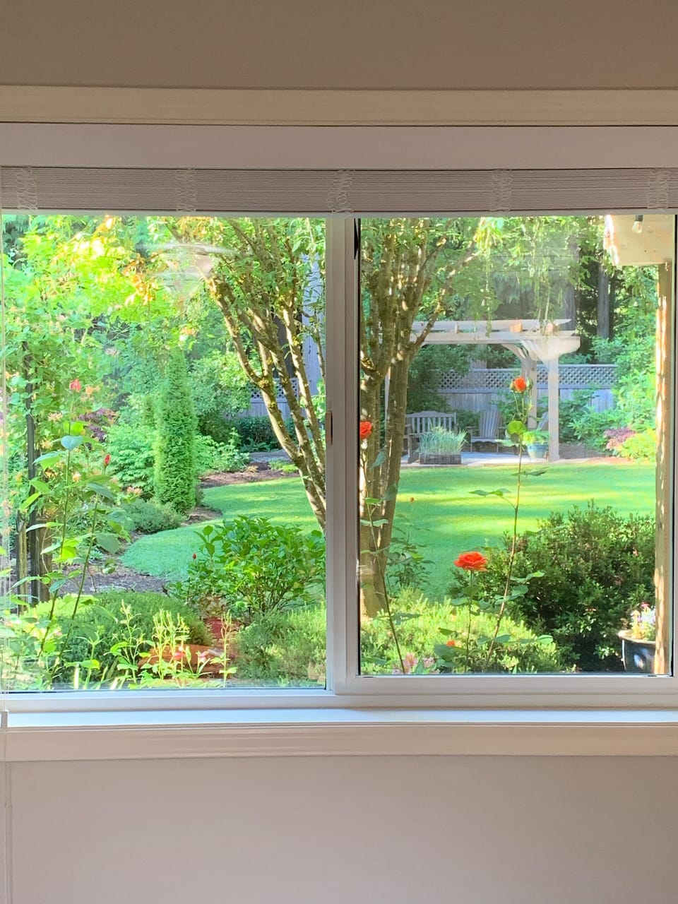 View from your living room 