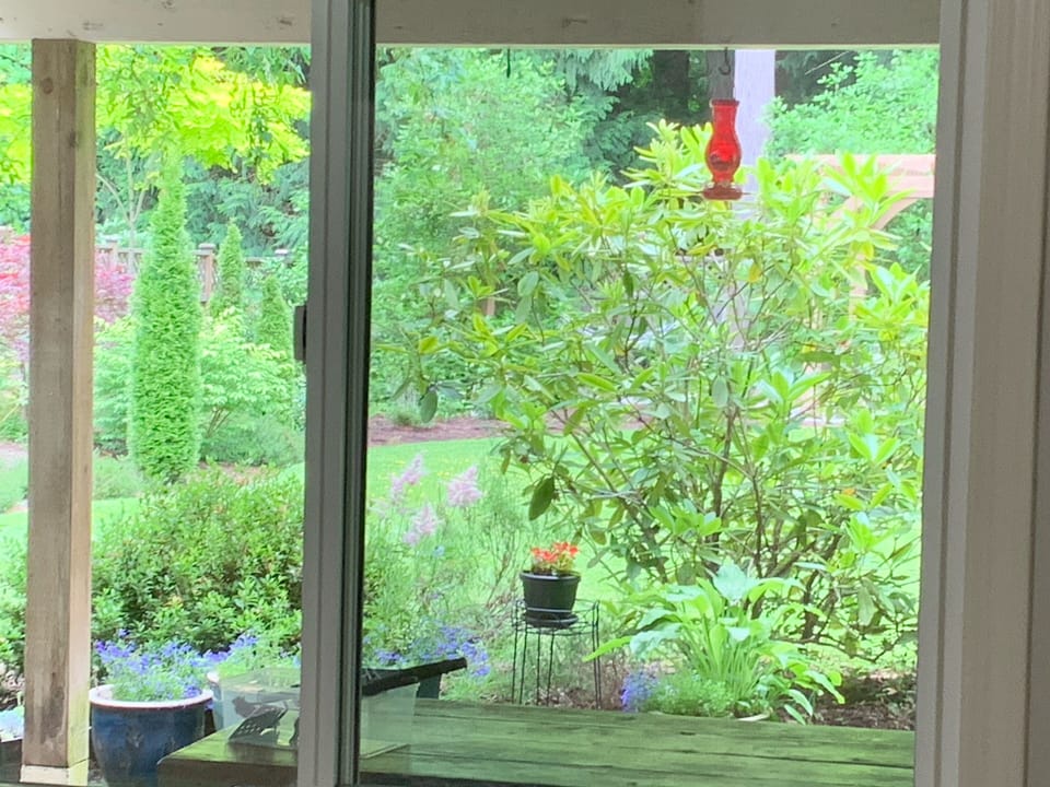 Looking out bedroom windows 