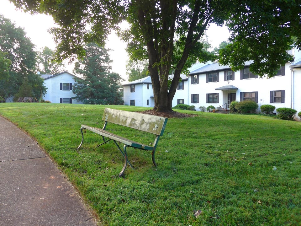 Courtyard Bench