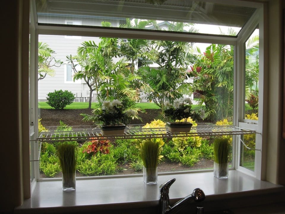View of quaint tropical garden from kitchen