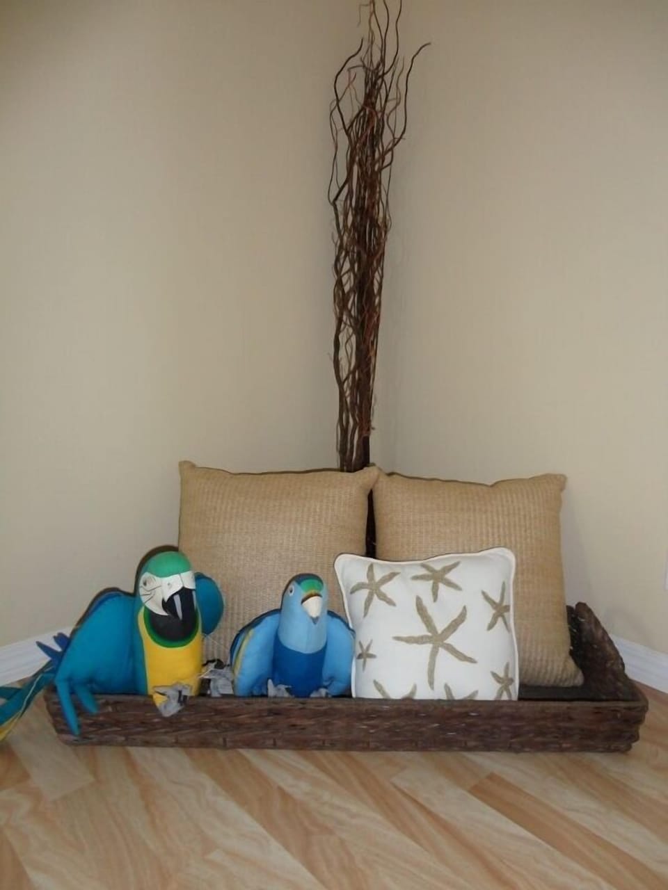 Our resident parrots