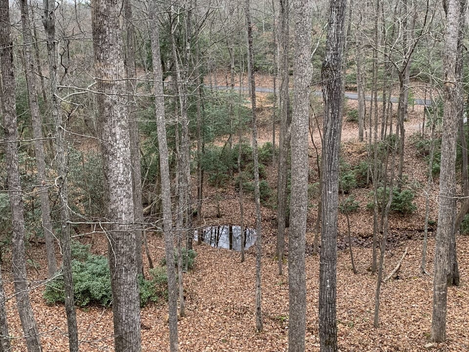Pond in the fall after much rain