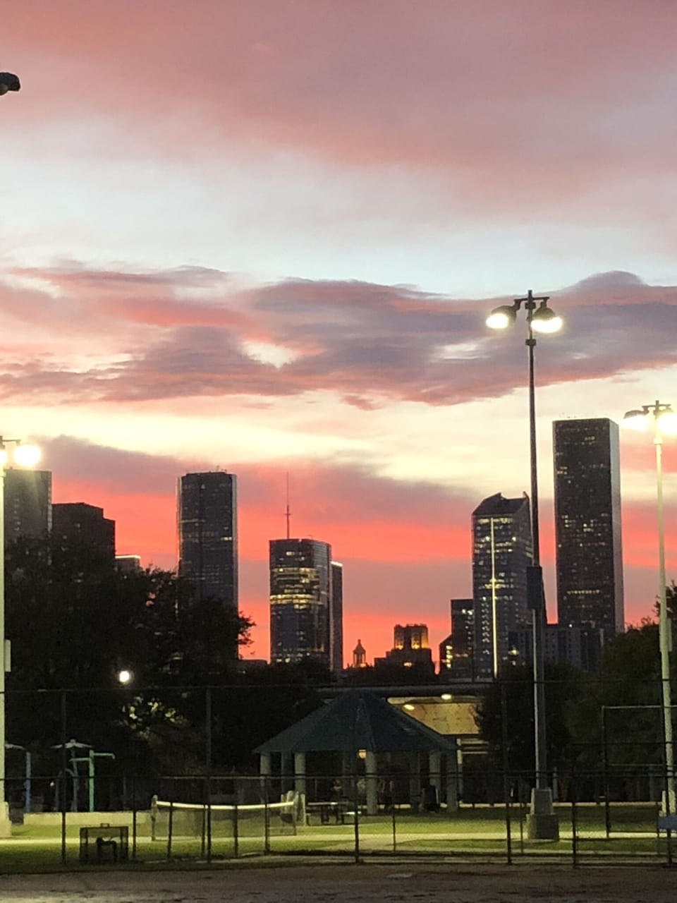 Downtown Houstonfu