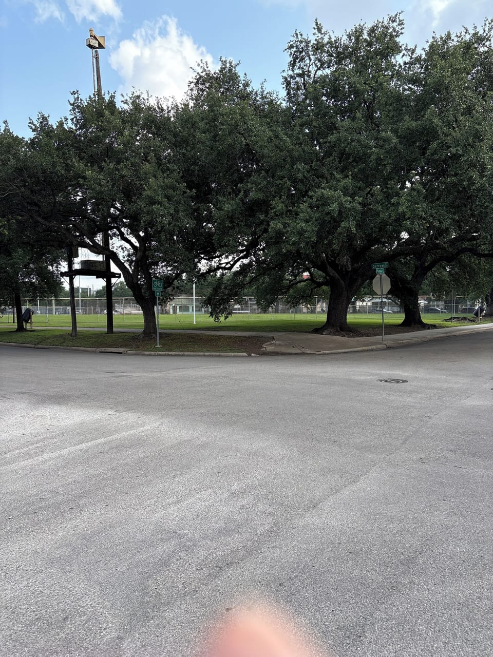 Beautiful park just across the street