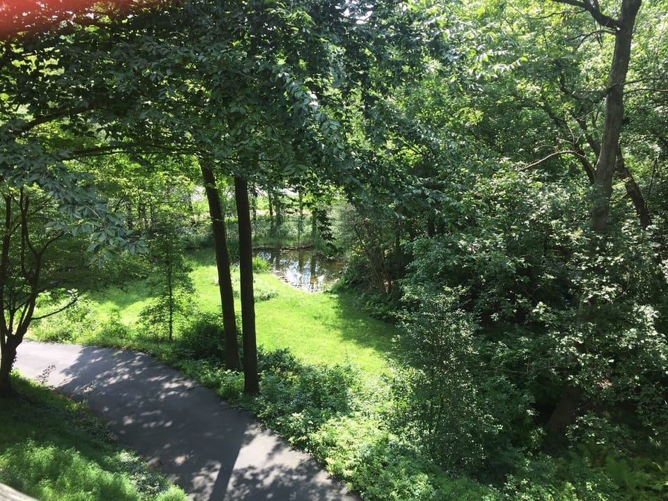 the front yard of the house