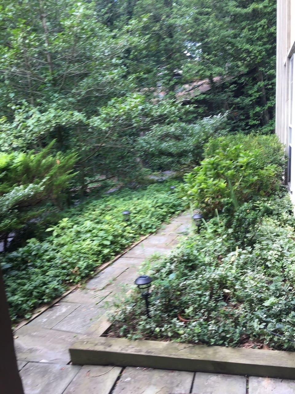 entrance to the apt