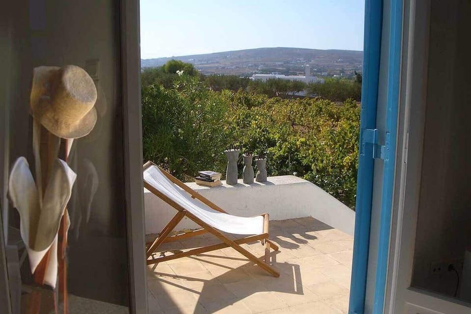 Window with a view