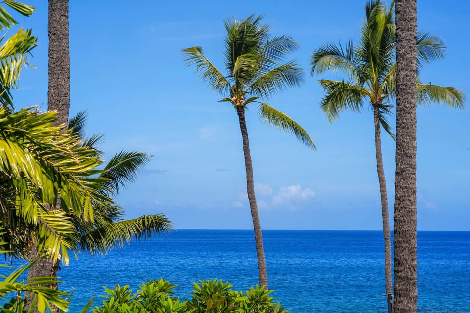 Beautiful Ocean Views