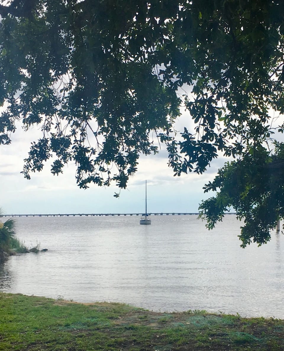 Pensacola Bay, just 5 minute stroll from this apartment 