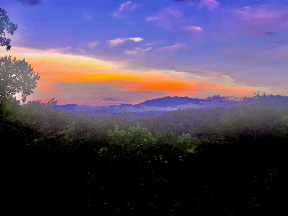 Guest Submission from back porch Spring 2023