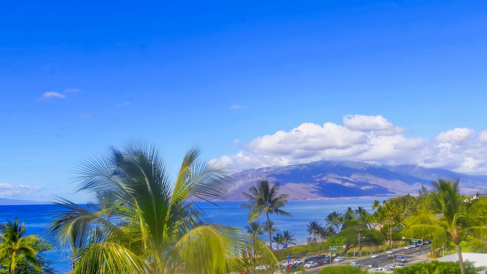 View of West Maui Mountain from roof top garden/BBQ area..