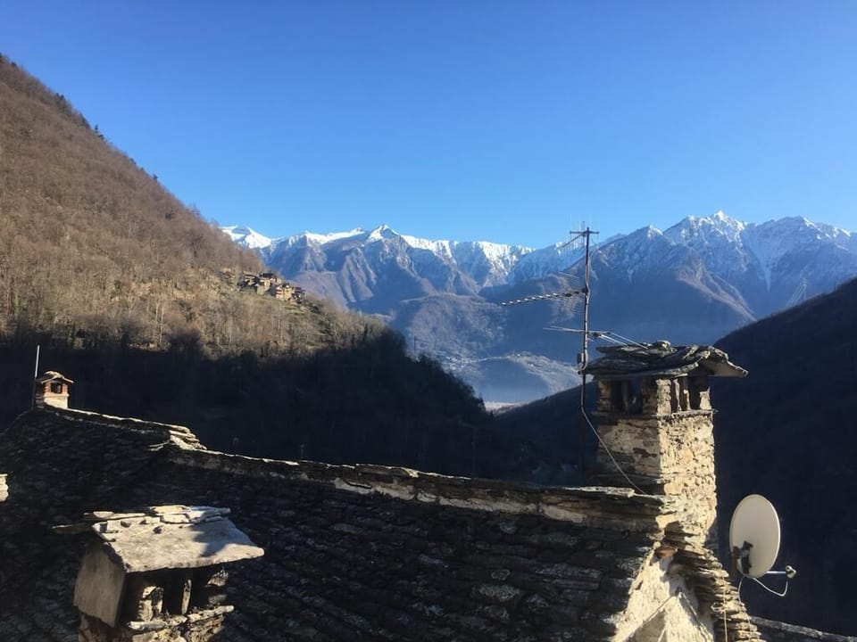View from garden
