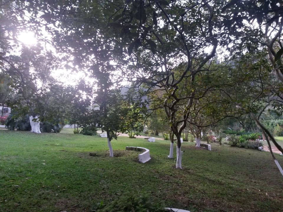 Property grounds