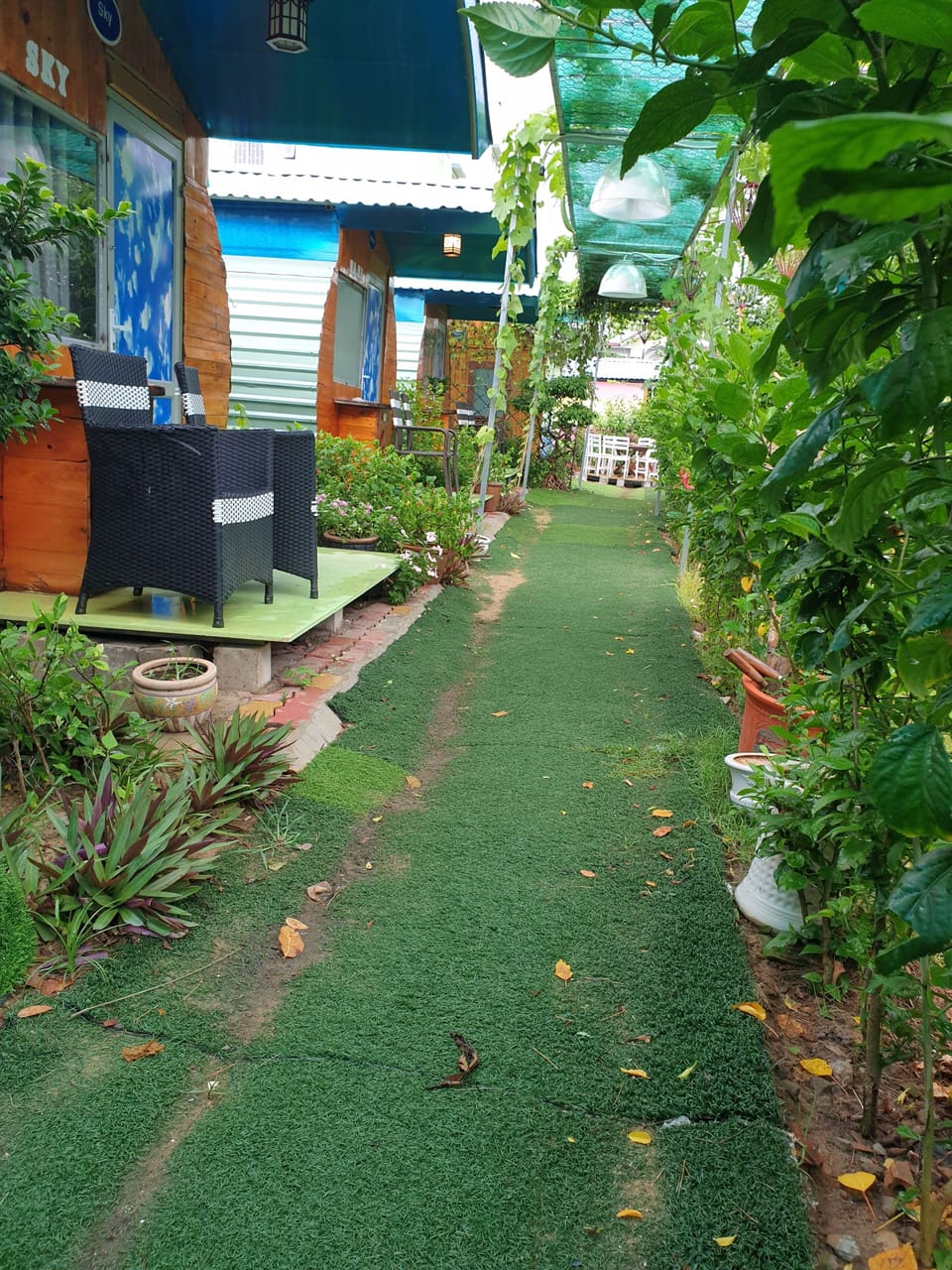 Terrace/patio