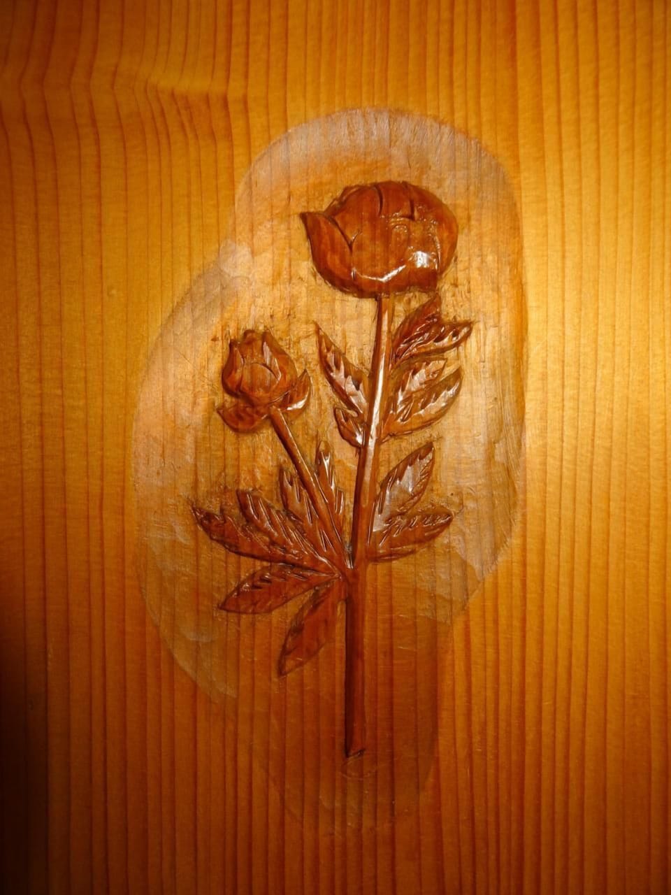 Picture 13