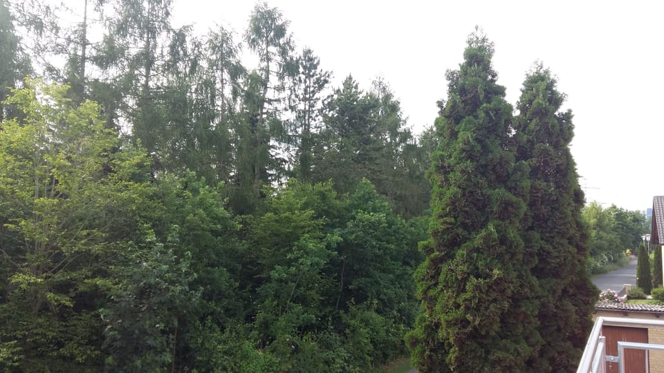 View from property