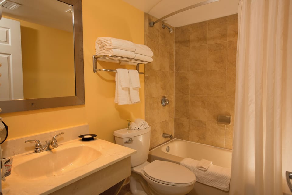 Full bathroom with a shower and tub, with all the essentials, towels provided!