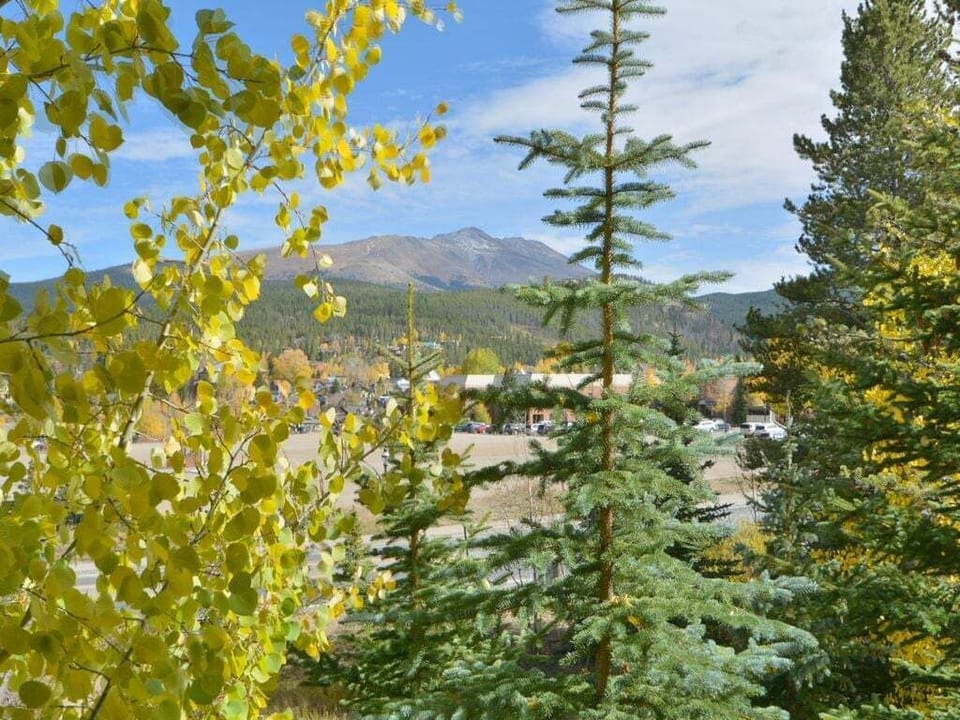 Summer in Breckenridge at Mountain Thunder Lodge