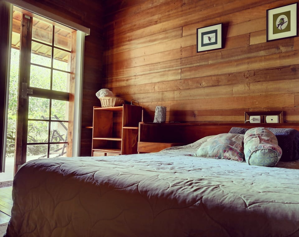 Phaetornis Room