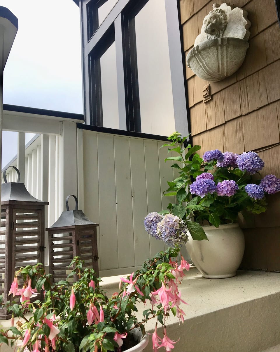 Patio Garden 