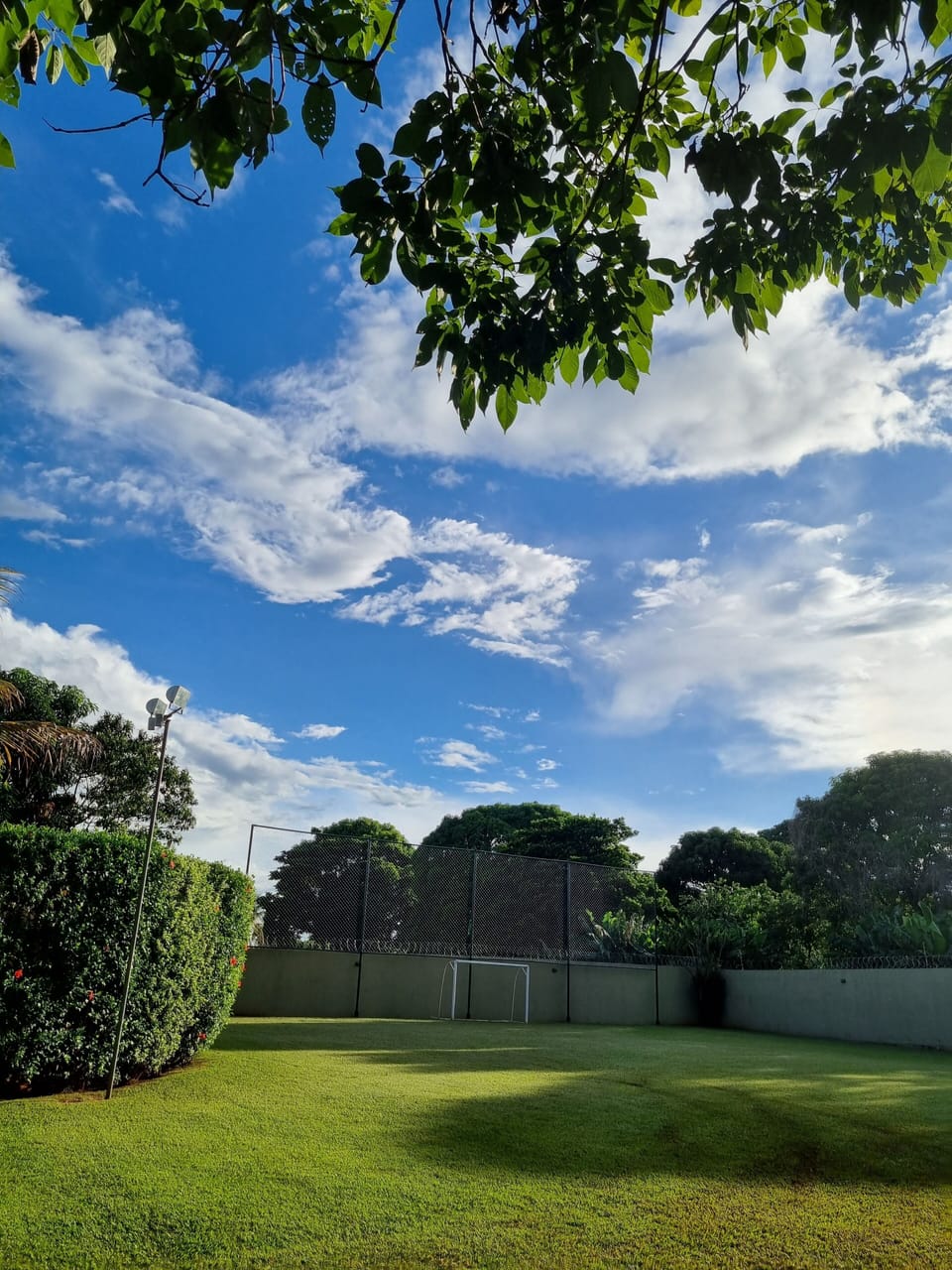 Sport court