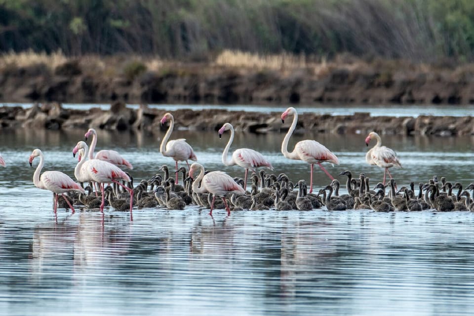 Nearby natural reserve (within biking/walking distance from Seasun - about 2km)