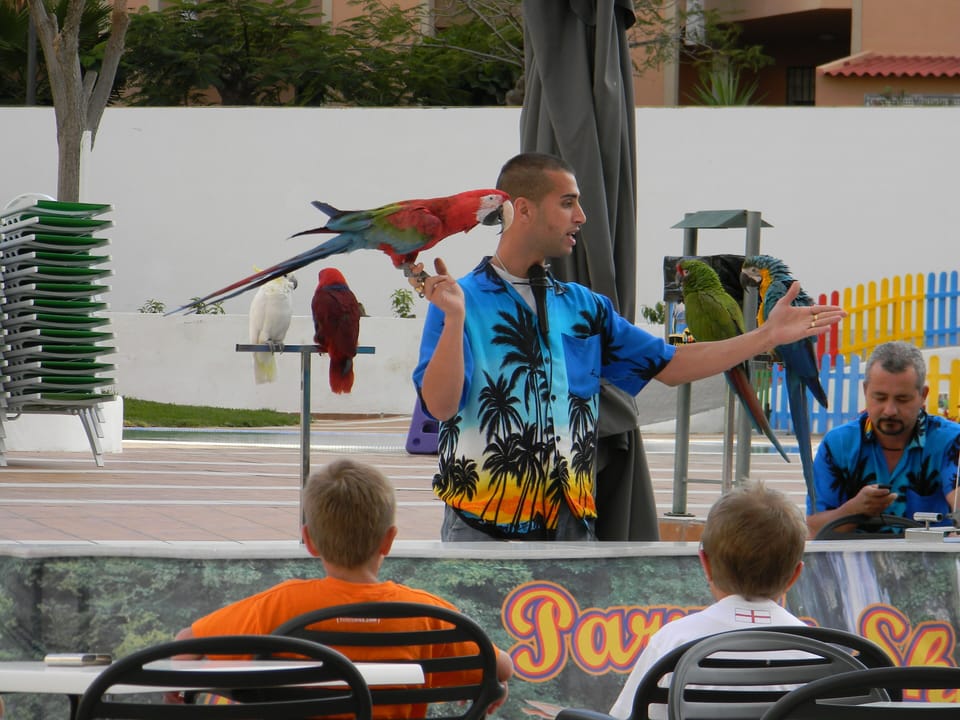 Children's area