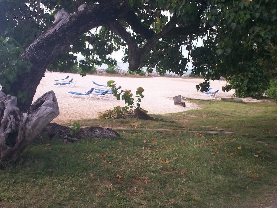  Family Beach Area 