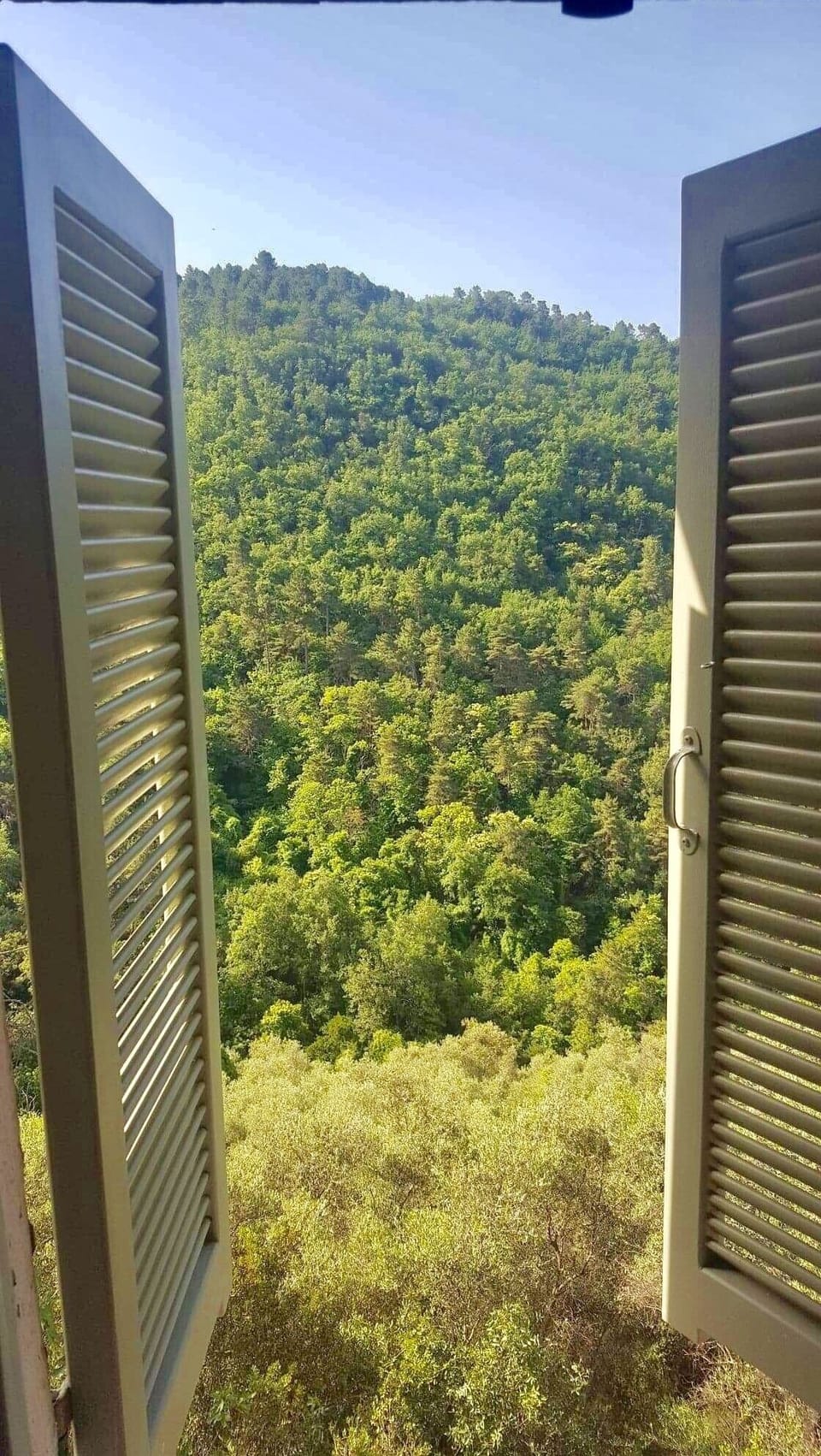 Bedrooms with a view! 