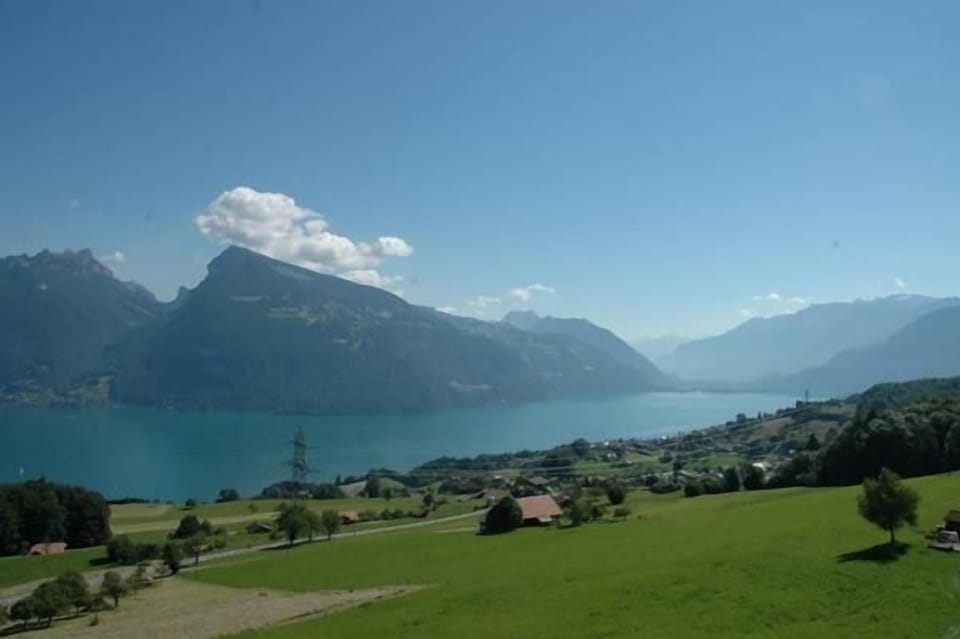 Picture 4