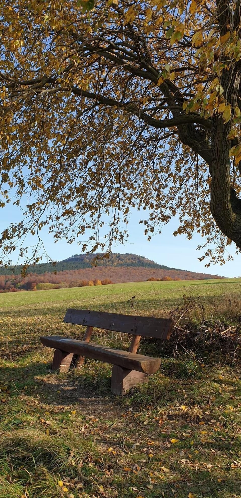 Town/city in general