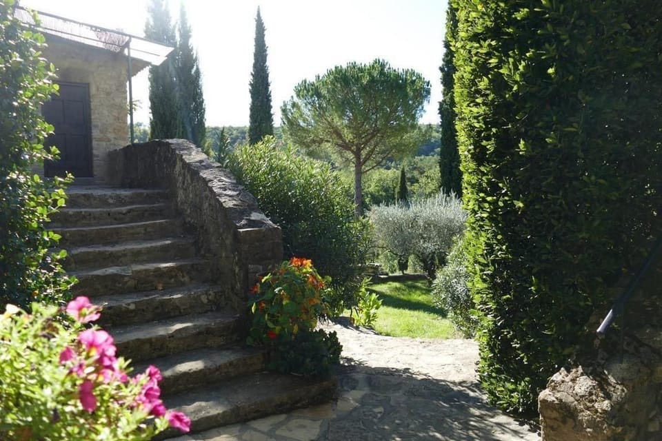 Picture 8
