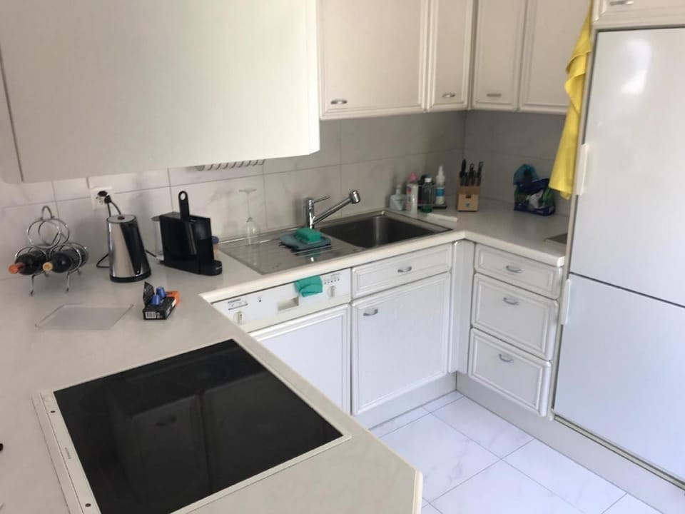 Fully equipped kitchen. Swiss raclette grill and fondue set included.
