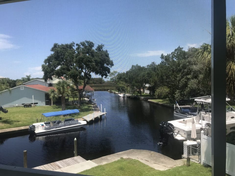 View from the upstairs back porch!
