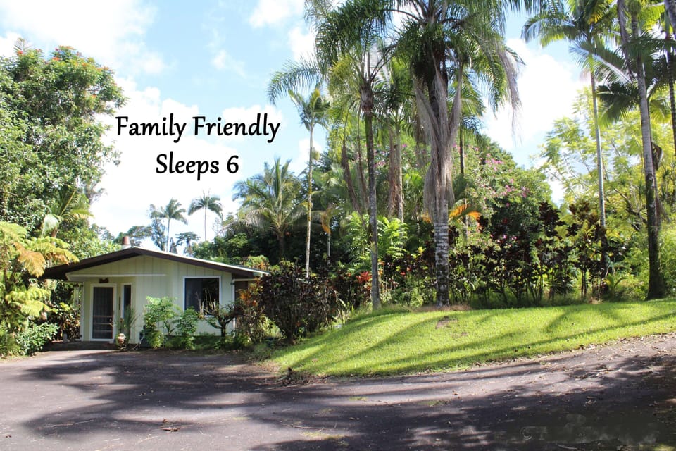 Spend a night in the Rainforest!