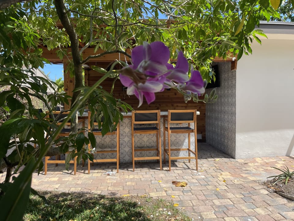 orchids and other air plants grow on many trees in the yard / gardens
