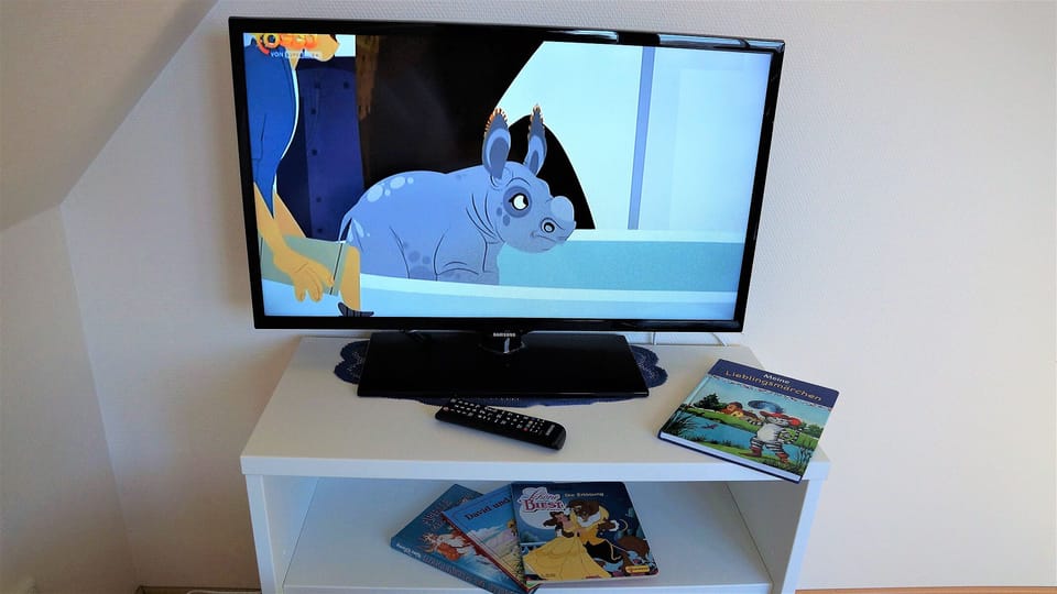 Television