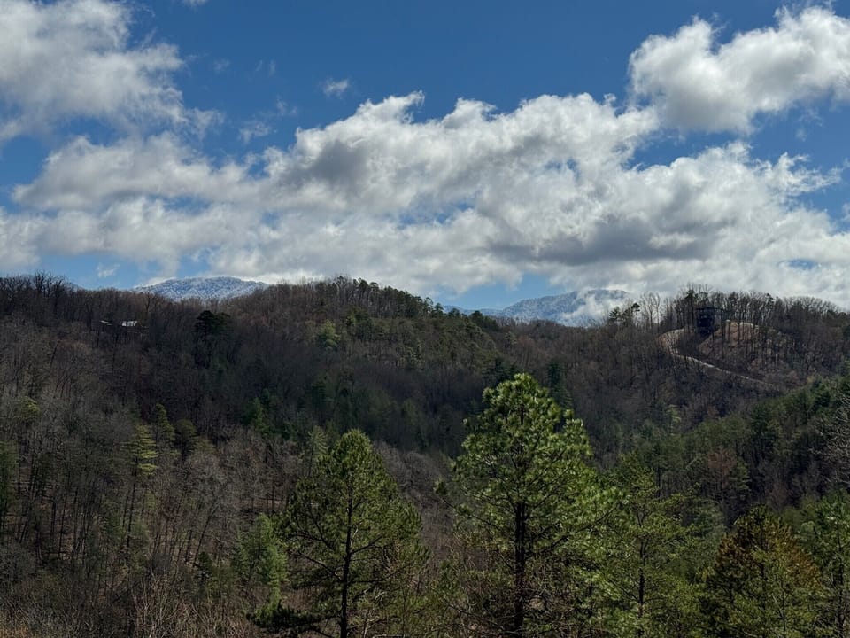View on a Spring morning