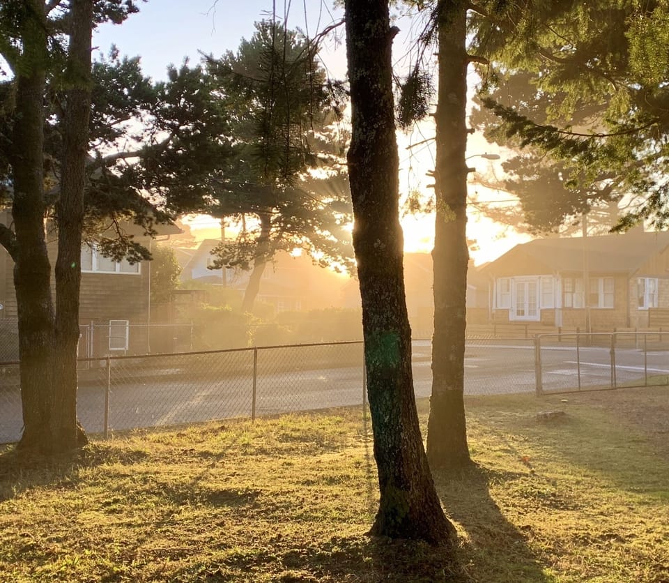View from the fenced yard