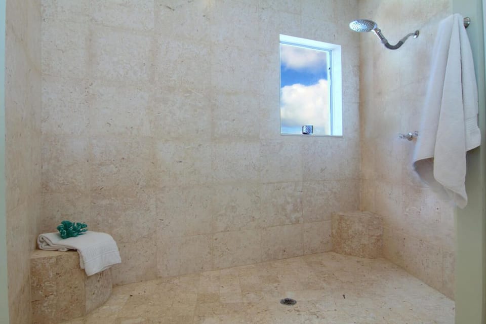 Master shower
