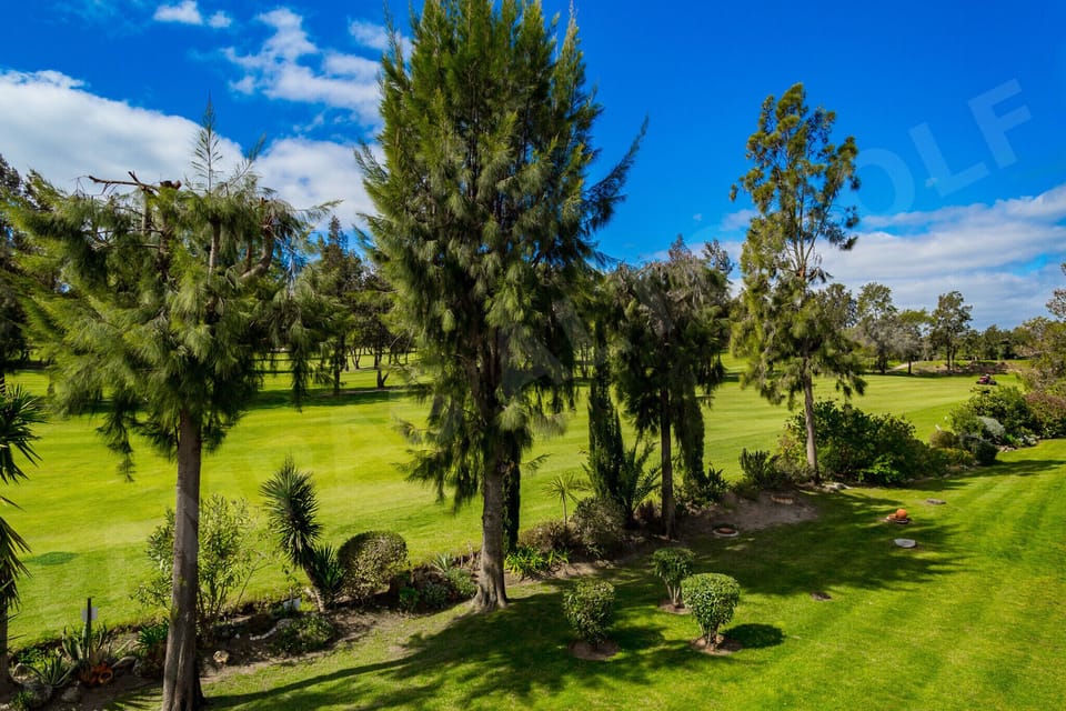 Lush garden grounds at Apartment Pampas featuring tall pine and palm trees overlooking the manicured fairways of the nearby golf course, a peaceful green setting near Alvor in the Algarve