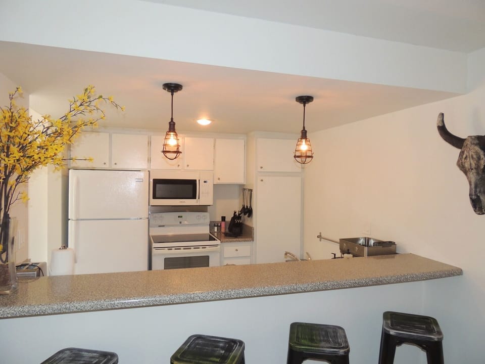 Kitchen and bar area