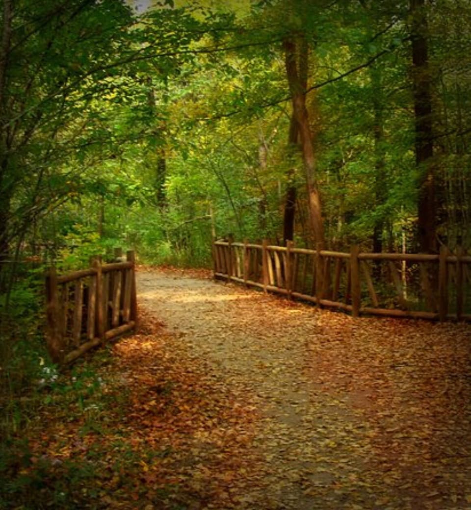 Cherokee park awaits you at the end of the street.