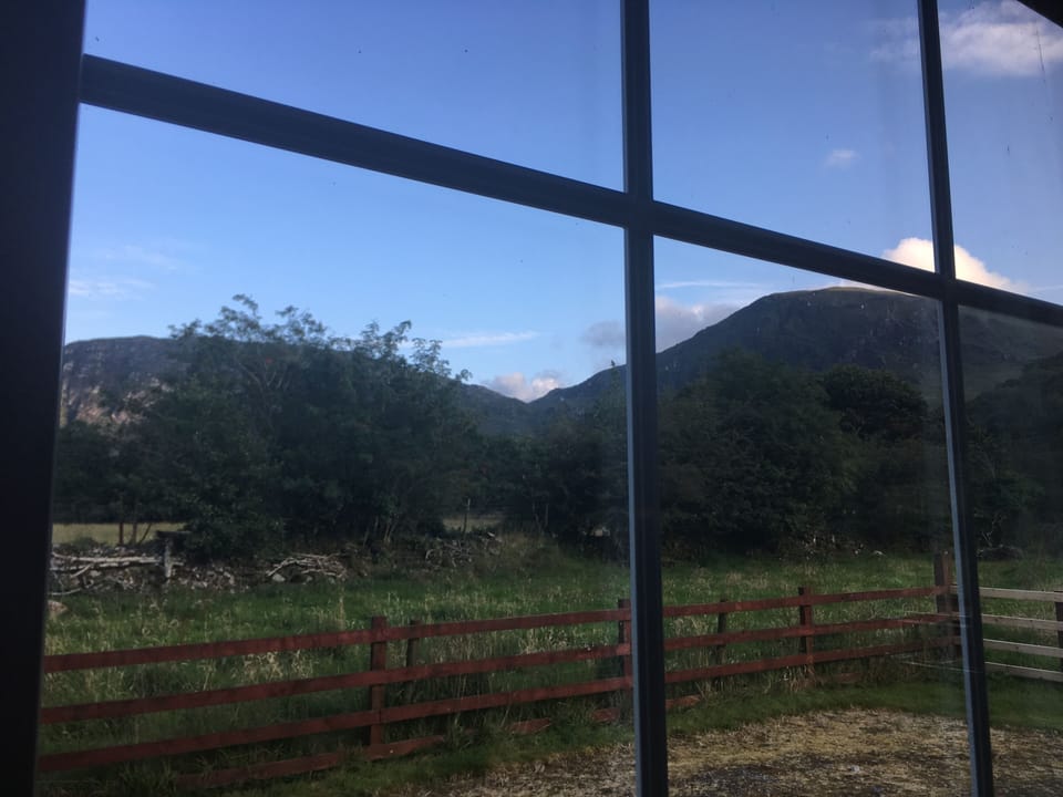 Looking out the kitchen window 
