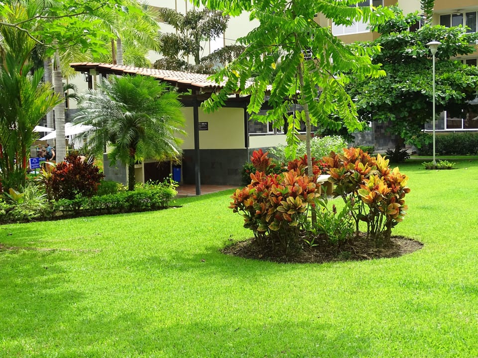 Property grounds